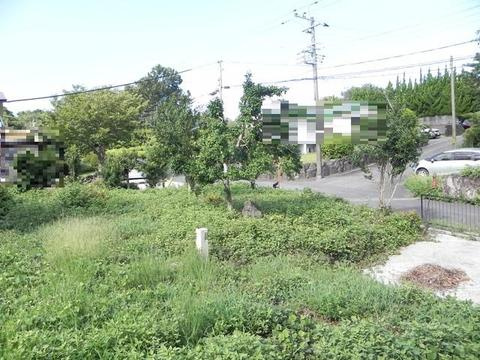 大室高原別荘地(シャボテン)の外観|お庭と前面道路