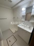 グレイスコート上本町の洗面所