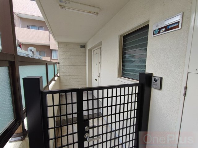 パレグレイス・ヒエダのその他