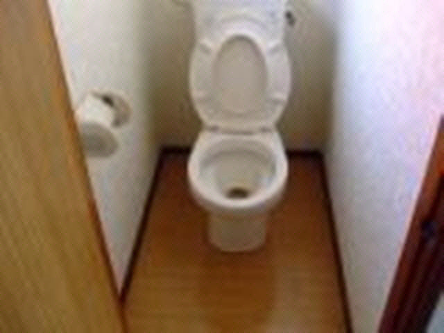 マルシンハイツのトイレ