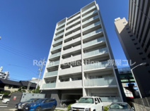 Twin Owls(ツインアウルズ)の画像