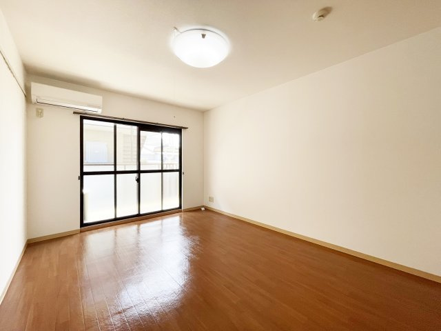 ハウスパンプキンのその他