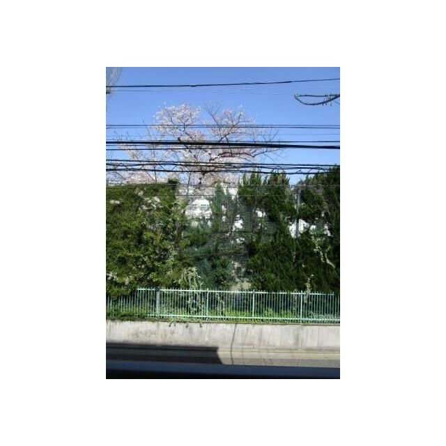 イクス・ピア（ex,peer）の展望