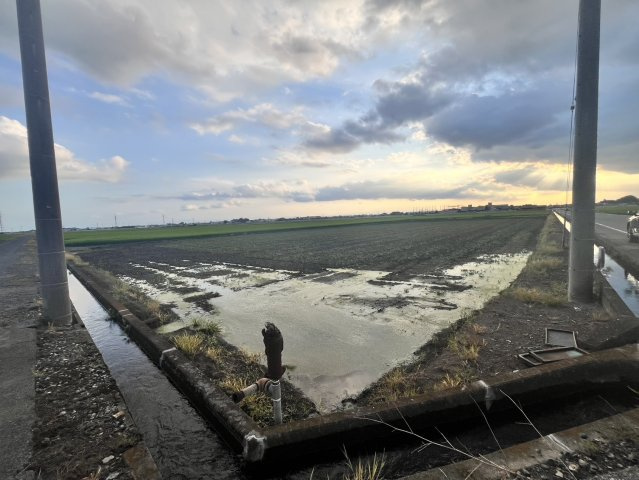 太田市茂木町84　農地の外観