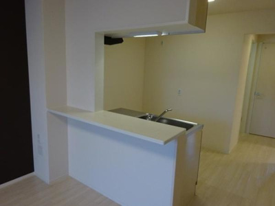 【その他】 | カーサイリス