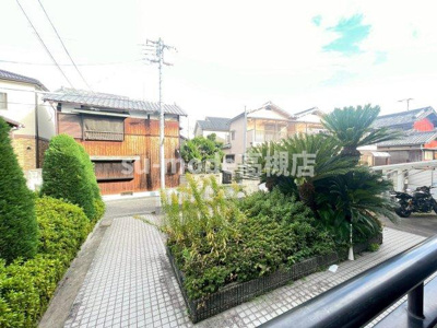 【展望】 | ソフィア