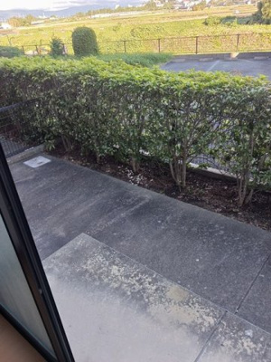 【庭】 | 坂田ハイツⅢ