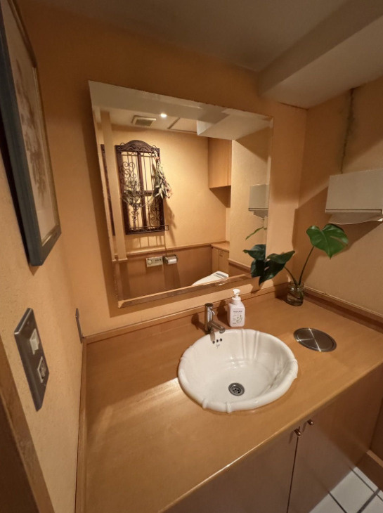 舞鶴１丁目 居抜の洗面所