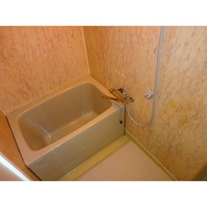 第５ヒルハイツ桃山の浴室