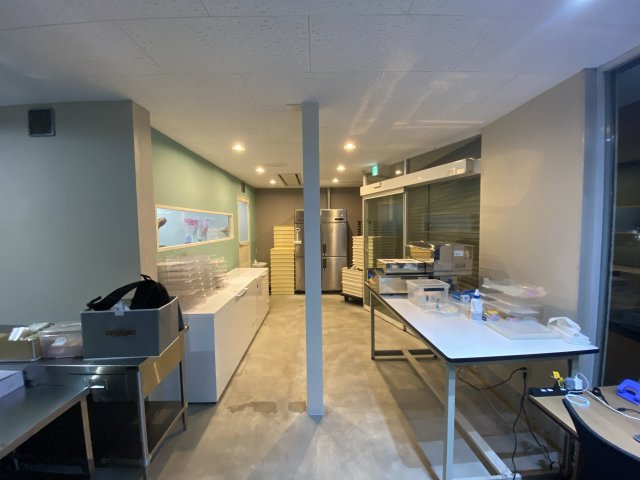 【内装】 | 柿生駅17分 ショッピングあさお 20.04坪 1階 ケーキ工房居抜き