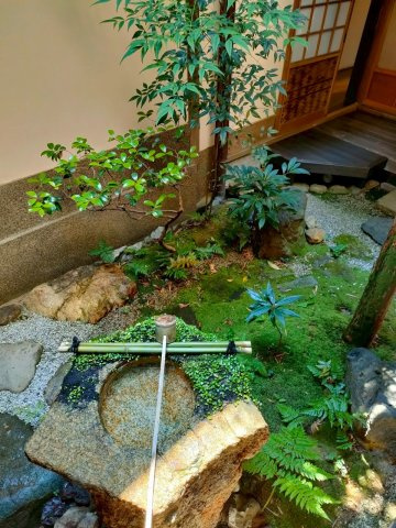 上七軒京町屋テナントの庭