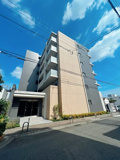 The Sevens’の画像