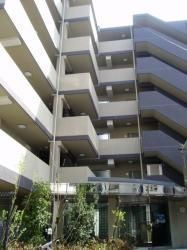 レナトゥス四谷