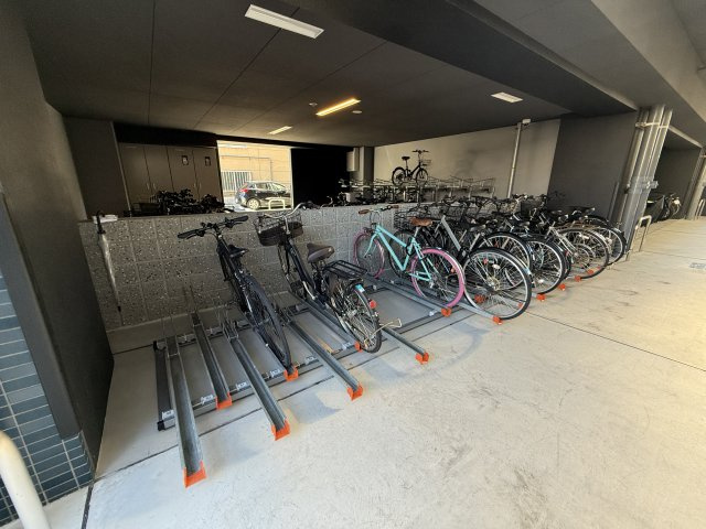 プレサンス　ＤＯＭＥＣＩＴＹ　コレーレ　仲介手数料無料のその他共用部分