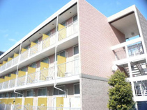 ベルフローレの画像