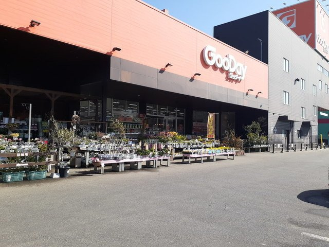 スカイエル長尾の周辺|ホームセンターグッデイ長尾店まで350m