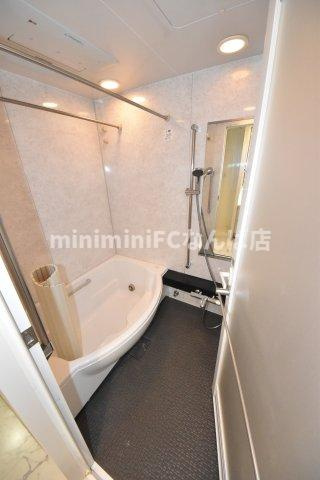 カスタリア上町台の浴室