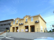 サンフラワーの画像