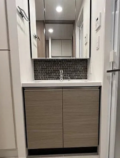 ザ・パークハビオ同心プレイスの独立洗面台