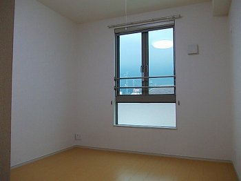 【その他】 | プラシード