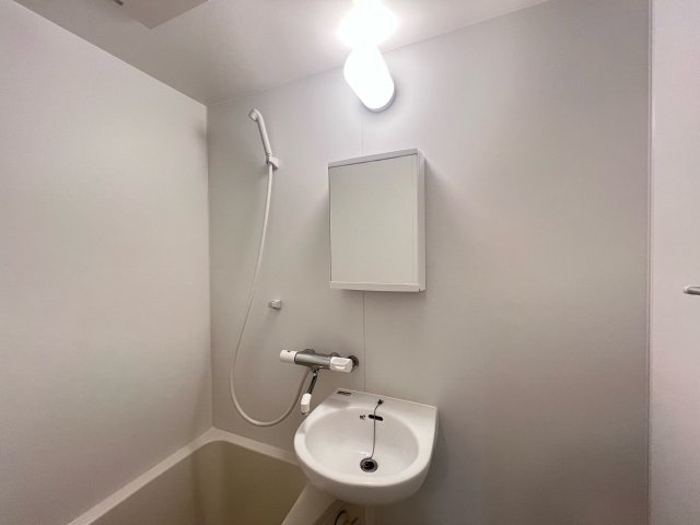 ハイツホワイトの洗面所|ゆったりとスペースのある洗面所