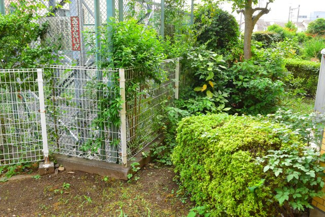 昭島市美堀町５丁目の中古マンションの庭