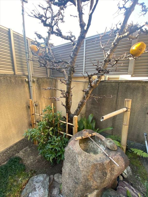 和歌山市船所の中古一戸建の庭