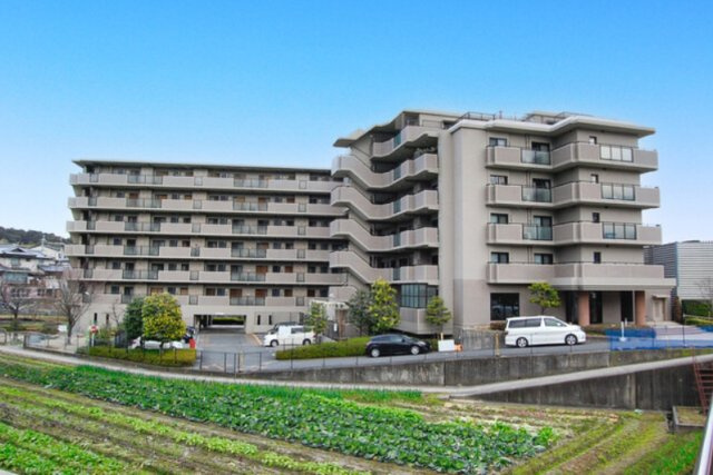 ステイツ桂洛西の外観