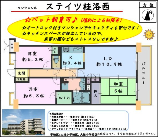 ステイツ桂洛西の間取り