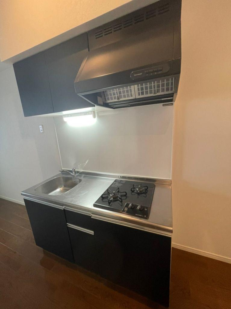 RadIAnce神宮前(レイディエンス神宮前)　名古屋市賃貸　仲介手数料無料のキッチン|収納