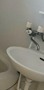 メゾンシュシュの洗面所