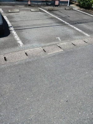 【駐車場】 | カモミール