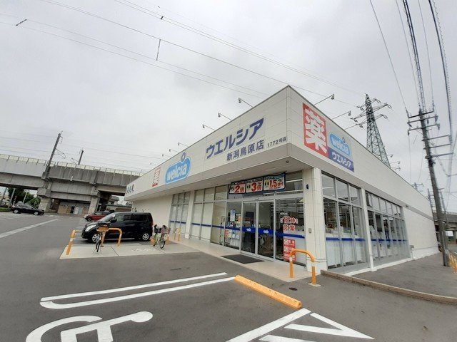 グレイスの周辺|ウエルシア新潟鳥原店まで650m