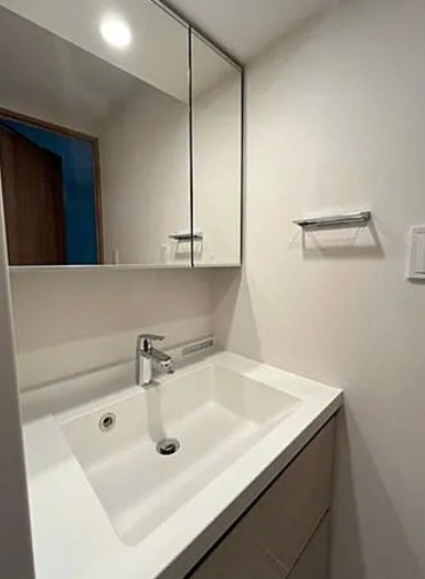 パークアクシス神保町の独立洗面台