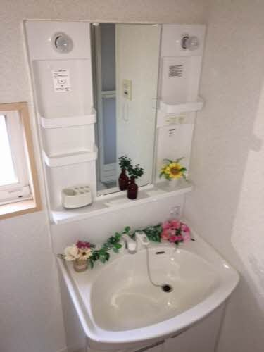 フロイデ波多見の洗面所