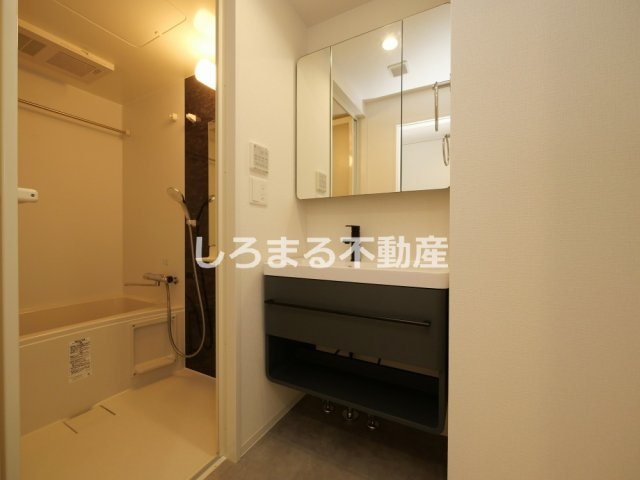 セレニテ日本橋エクラの洗面所