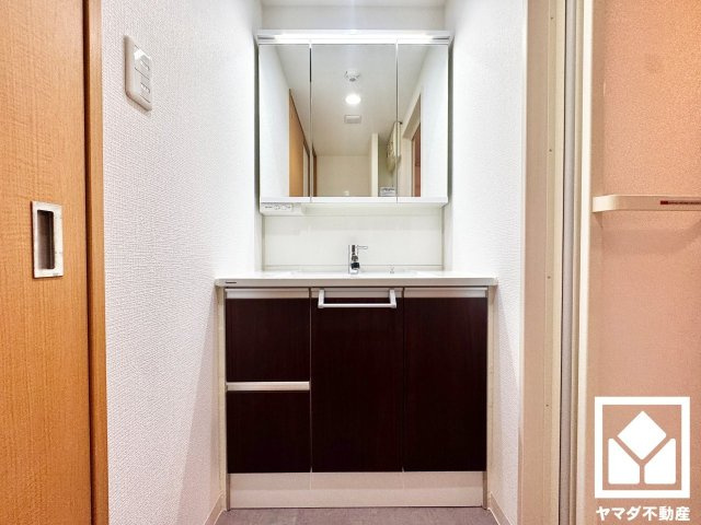 パデシオン三室戸駅前の独立洗面台