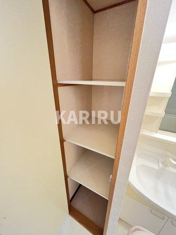 メゾンshinmoriの収納