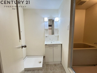 シャンプードレッサー