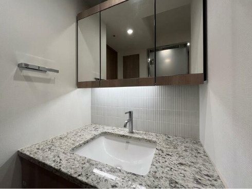 ブランズ渋谷桜丘　駅近　フロントサービス　分譲　セキュリティ完備の洗面所