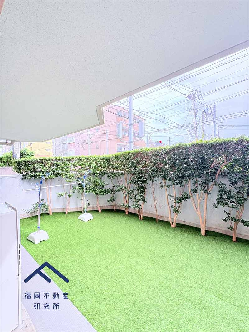 藤崎ロジュマンのその他