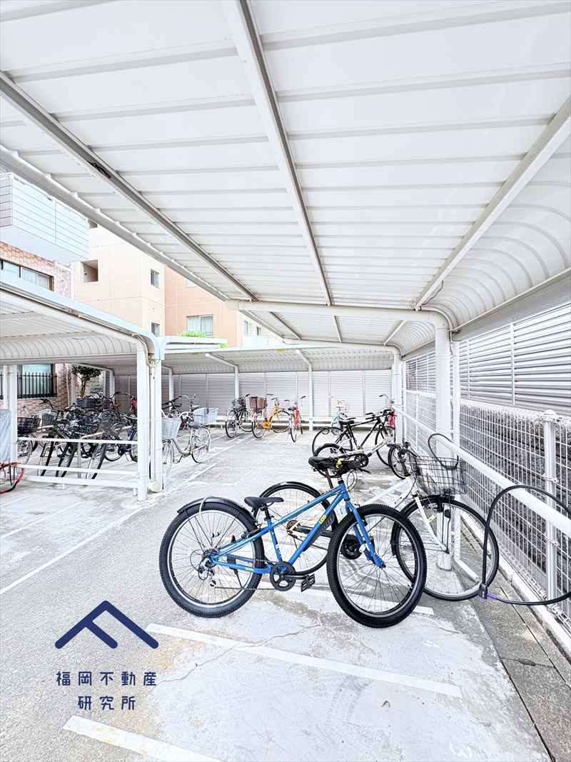 藤崎ロジュマンのその他