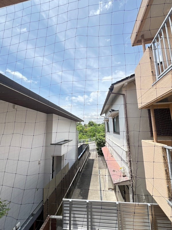 王子パークハイツの展望