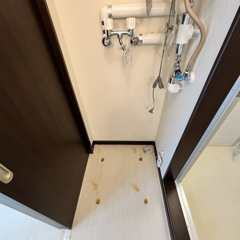 シーステージのその他