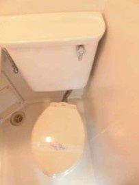 Voルサリーノ節和のトイレ