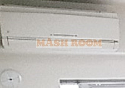 Voルサリーノ節和のその他