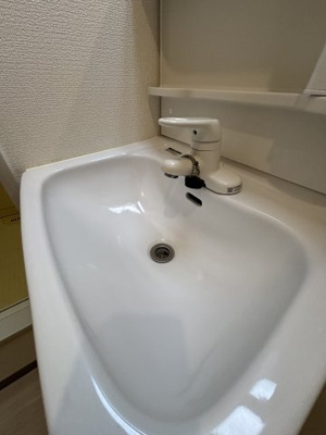 【独立洗面台】 | サニーコートカノウC