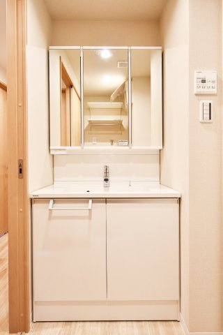 ワコーレロイヤルガーデン北本F棟の独立洗面台|新品交換済みの洗面化粧台！ライトがついておりますので、お化粧時にも明るく照らしてくれます。下には収納スペースがありますので、洗剤のストック置き場にもGOOD！家事のしやすい水廻り集中型の設計です。