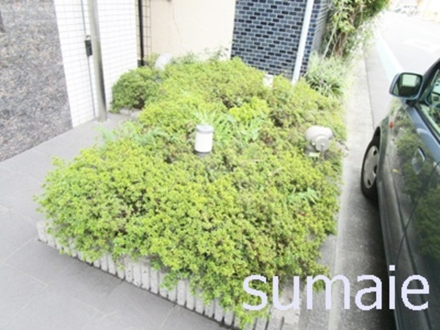 ヴァレッシア尾久シティⅡのその他共用部分|植栽です☆