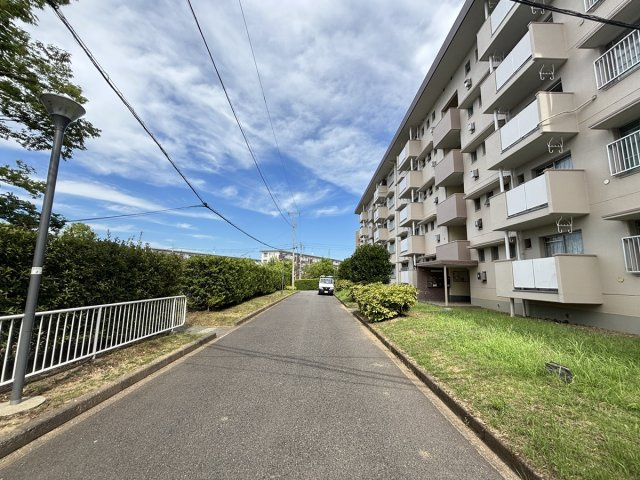の-の画像
